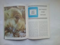 Лот: 24812295. Фото: 6. Журнал СССР "Юный натуралист...