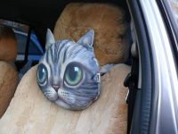 Лот: 6644252. Фото: 6. подушка