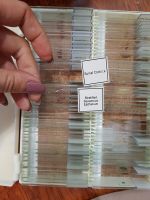 Лот: 16729435. Фото: 4. Набор микропрепаратов Микромед... Красноярск