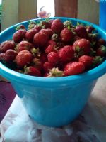 Лот: 14070998. Фото: 2. Виктория,5 литров. Продукты