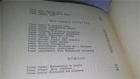 Лот: 11645877. Фото: 4. Царьградская пленница, Владимир... Красноярск