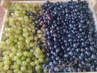 Лот: 23542399. Фото: 2. Ящичик винограда. Продукты