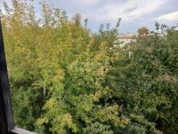 Лот: 25745610. Фото: 16. 1-комн. квартира , Красноярск...