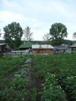 Лот: 3814415. Фото: 3. Дом в посёлке Памяти 13 Борцов... Недвижимость