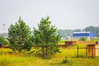 Лот: 8091902. Фото: 2. Продам участок д.Терентьево. Продажа