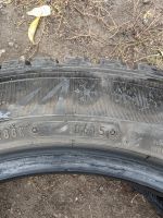 Лот: 20963419. Фото: 7. Шины зимние Dunlop winter ice...