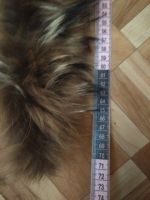 Лот: 13132782. Фото: 3. Мех енота натуральный от зимней... Ручная работа
