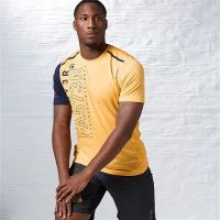 Лот: 6807359. Фото: 2. Футболка мужская спорт Reebok. Мужская одежда
