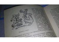 Лот: 6696181. Фото: 11. ок...(05..029) Куда ведет аллея...