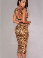Лот: 6645117. Фото: 2. Вечернее платье с леопардовым... Женская одежда