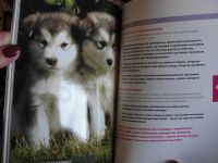Лот: 4277625. Фото: 2. Книги и журналы о собаках. Литература, книги