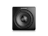 Лот: 21361149. Фото: 2. Активный сабвуфер M&K Sound V12... Аудиотехника