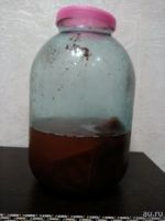 Лот: 9983226. Фото: 3. Панты, пантокрин. Красота и здоровье