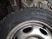 Лот: 15921321. Фото: 2. Шипованные колеса на дисках КамаЕвро. Шины, Диски