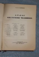 Лот: 18195001. Фото: 2. Атлас Анатомии Человека. Академик... Медицина и здоровье