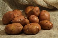 Лот: 6178776. Фото: 3. Картофель вкусный, рассыпчатый... Красноярск