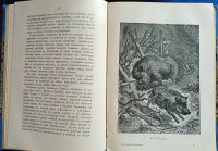 Лот: 25805131. Фото: 9. М.Н. Богданов. Из жизни русской...