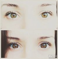 Лот: 8918276. Фото: 2. Ореховые линзы. Оптика