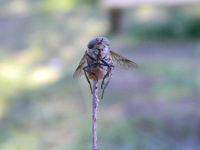 Лот: 5095958. Фото: 5. Nikon Coolpix L110