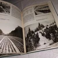 Лот: 7823335. Фото: 13. ок....(2092312)Иллюстрированная...