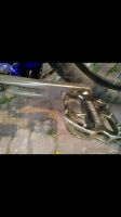 Лот: 11110374. Фото: 2. Велосипед Norco 4hun. Велоспорт