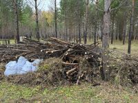 Лот: 24003434. Фото: 2. Вывести мусор с участка. Транспортные услуги, вывоз мусора