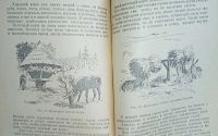 Лот: 24890264. Фото: 5. Ружейно - спортивная охота.* 1958...