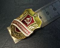 Лот: 10173733. Фото: 2. Знак СССР, нагрудный, дружинник... Значки, медали, жетоны