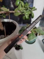 Лот: 25778219. Фото: 4. Автограф! Евгений Попов - Душа...