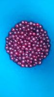 Лот: 14363266. Фото: 2. Ягода вишня на ножке. Продукты