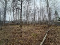 Лот: 25363767. Фото: 4. участок , посёлок Манский посёлок... Красноярск