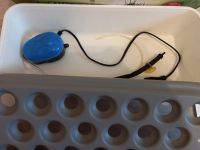 Лот: 20001038. Фото: 4. Домашняя установка Луковое счастье... Красноярск