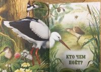 Лот: 4171339. Фото: 3. Бианки В. Сказки о животных. Литература, книги