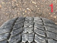 Лот: 25119926. Фото: 6. Sava Eskimo 205-60-16