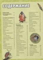 Лот: 17029717. Фото: 6. "Большая энциклопедия насекомых...