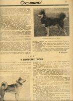 Лот: 16999009. Фото: 5. Журнал Охотник. * № 7 Июль...