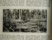 Лот: 15311837. Фото: 7. Енисейская Сибирь.*журнал Водные...
