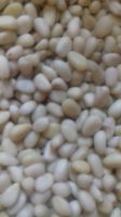 Лот: 8384935. Фото: 2. Ядро кедрового ореха 2024г... Продукты