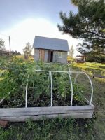 Лот: 25651877. Фото: 2. 1-комн. дача , СТ Солнечное-12... Продажа