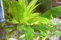 Лот: 9474193. Фото: 4. AquaRaduga К+ (Калий), 250 мл. Красноярск