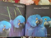 Лот: 14027304. Фото: 3. Серия "планета животных". Литература, книги