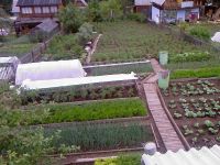 Лот: 1055740. Фото: 3. Дача Манская ГОРА (в сторону Дивногорска... Недвижимость