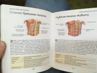 Лот: 13759412. Фото: 2. Анатомия человека. Как работает... Справочная литература