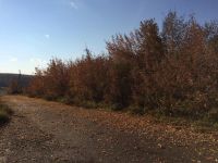 Лот: 4679016. Фото: 5. Продам участок 30 сот. ИЖС