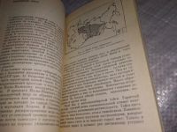 Лот: 19131046. Фото: 7. Бех И.А., Таран И.В. Сибирское...
