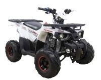 Лот: 25636290. Фото: 2. Квадроцикл AVANTIS Hunter 7 New... Мототехника