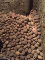 Лот: 11730176. Фото: 2. картофель. Продукты
