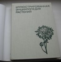 Лот: 18994070. Фото: 3. Новак Ф.А. Иллюстрированная энциклопедия... Коллекционирование, моделизм