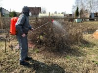 Лот: 20234421. Фото: 2. Обработка участка от насекомых-вредителей. Услуги