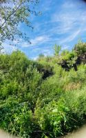 Лот: 25881096. Фото: 14. участок , садоводческое некоммерческое...